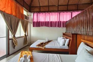 Accommodation: Dove