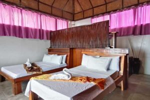 Accommodation: Dove