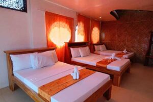 Accommodation: Gecko