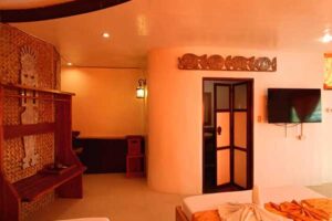 Accommodation: Gecko