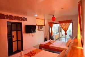 Accommodation: Gecko