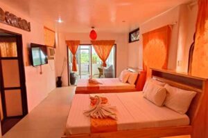 Accommodation: Gecko