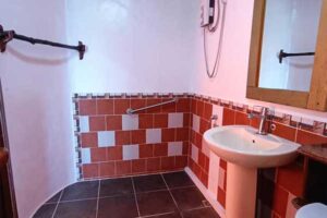 Accommodation: Gecko
