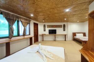 Accommodation: Humming Bird