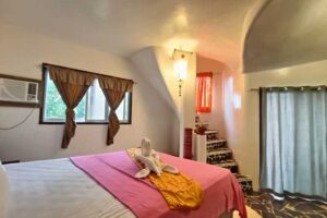 Accommodation: Iguana