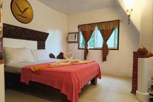 Accommodation: Iguana