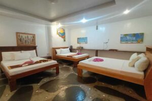 Accommodation: Orchid