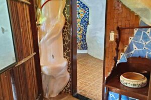 Accommodation: Orchid