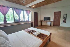 Accommodation: Seagull