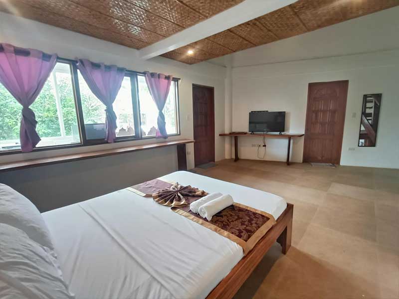 Accommodation: Seagull